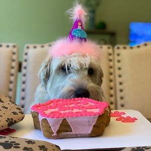 Meet your Posher, Gail